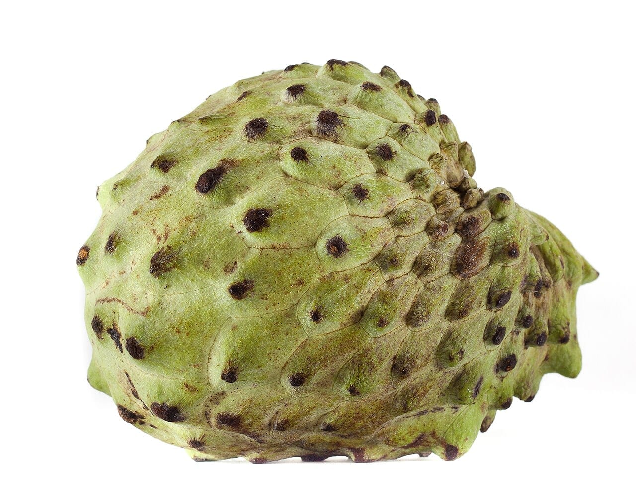 Atemoya