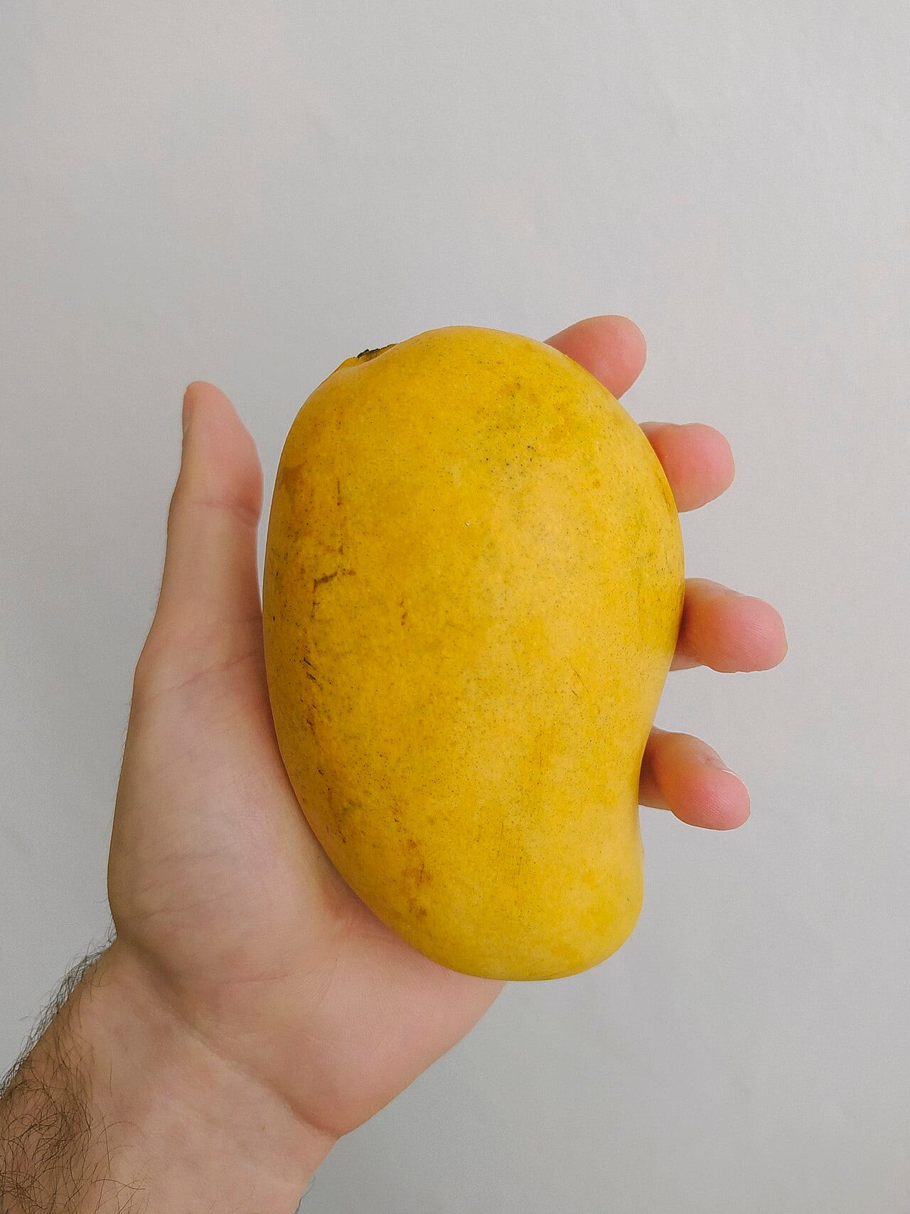 Ataulfo Mango, lot RG-2608-114