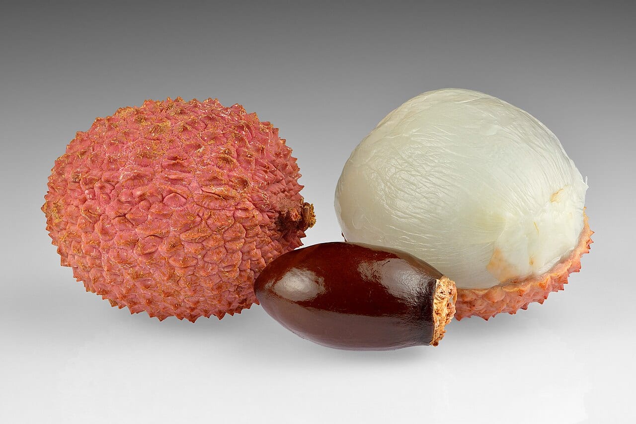 Brewster Lychee from Redland Grove