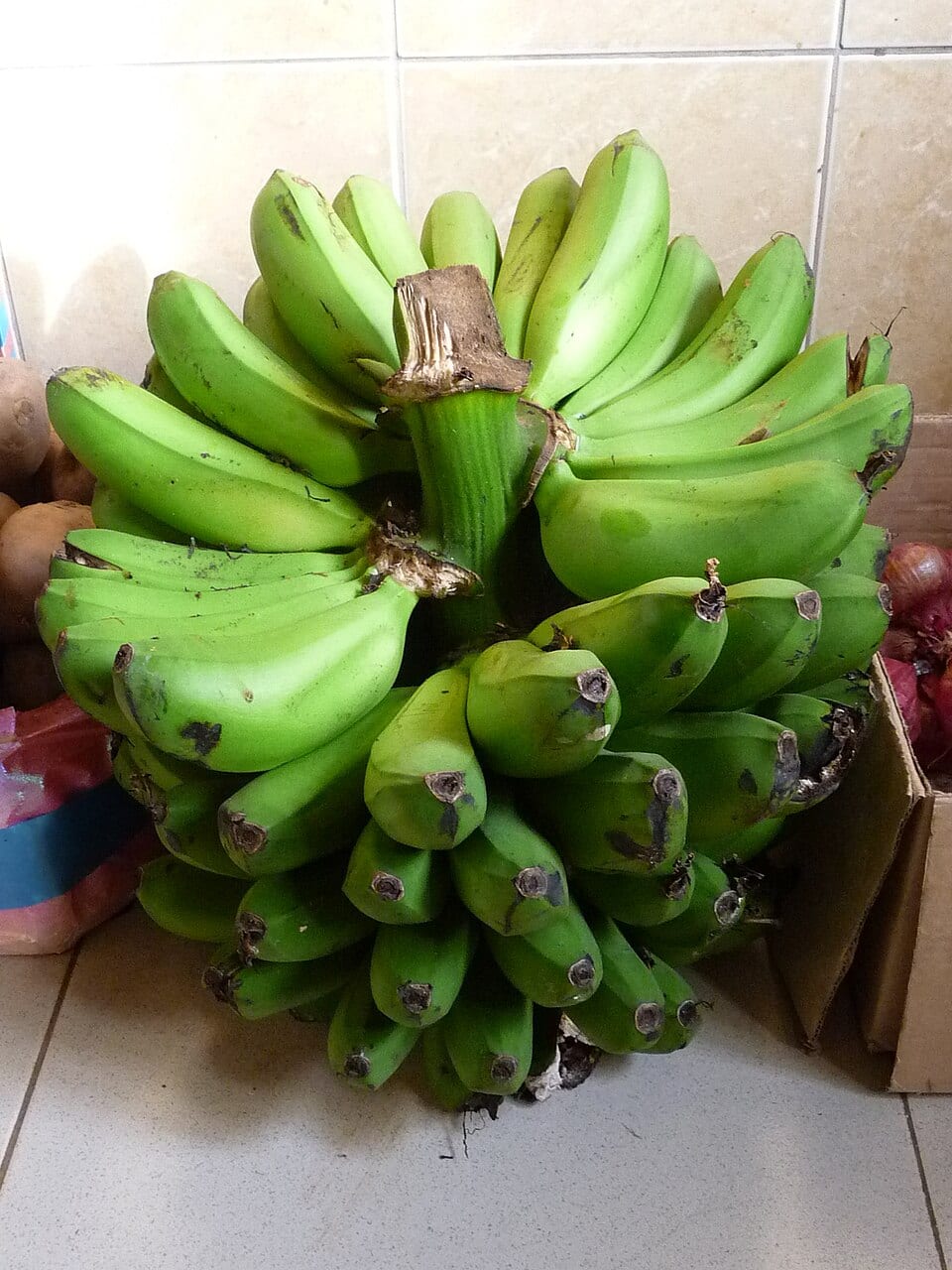 Cooking Plantain grown at Finca Mayaguez