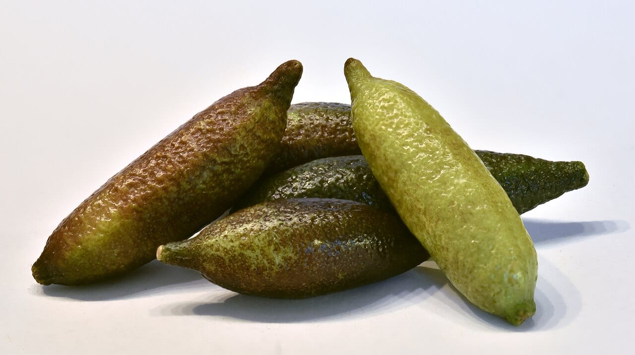 Finger Lime from Verdant Row