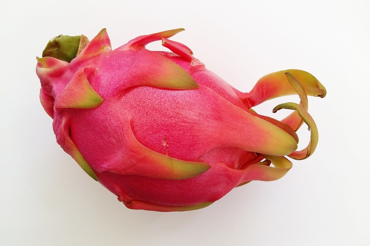 Red Dragon Fruit from Verdant Row